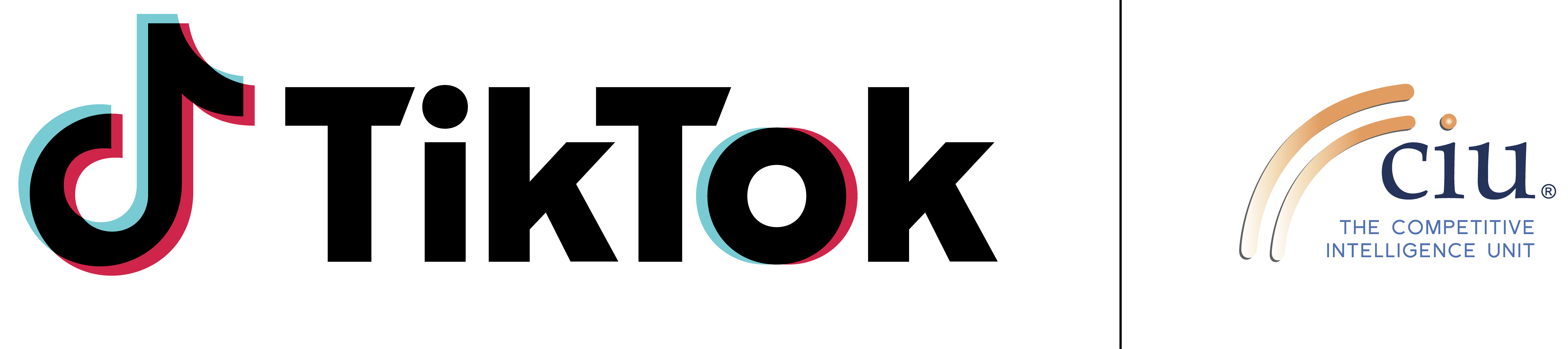 Impacto económico TikTok